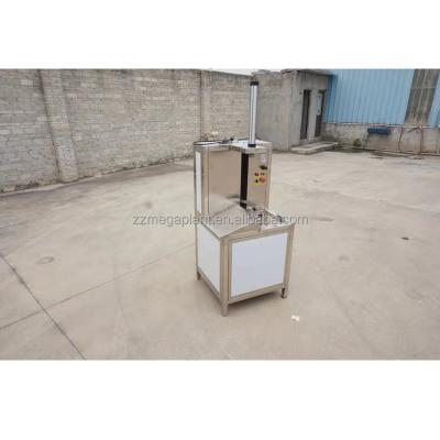 China Snack Factory Factory Sale Low Price Fresh Fruit Coconut Peeling Machine for sale