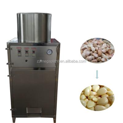 China High Quality Snack Plant Megaplant Garlic Peeling Machine/Garlic Skin Removing Machine/Garlic Peeler for sale