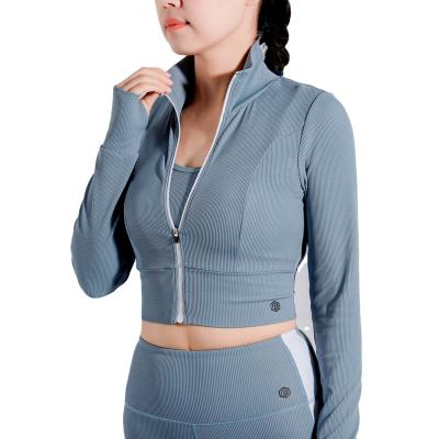 China Breathable Wholesale Antibacterial Wholesale Women Fitness Sports Long Sleeve Clothing Solid Custom Crop Top for sale