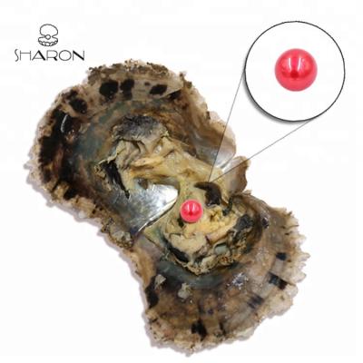 China DIY 6-7mm AAAA Raspberry Pearl Akoya Pearl Oyster Vacuum Packed Wholesale Birthday or Party Surprise Gift for sale