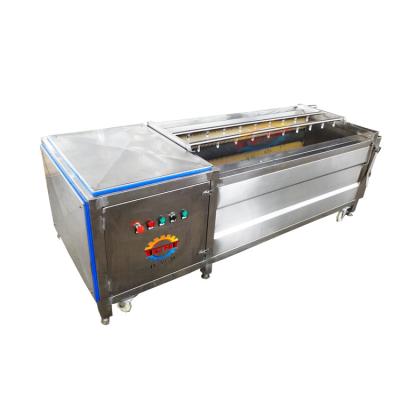 China SUS 304 Ginger Potato Onion Dairy Factory Peeling and Washing Machine for sale