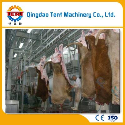 China Full automatic halal cattle beef cow beef slaughtering equipment for sale for sale