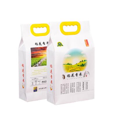 China Portable Convenient Hand Held Eco Friendly Moisture Proof 5 Kg Rice Packing Bag For Pack Rice Bag for sale