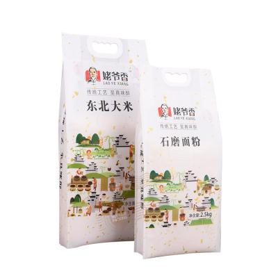 China New Food/Rice Flour/Pet Pe Food/Coffee/Tea/Snack/Virgin Nuts/Seafood/Frozen Food Aluminum Foil Flour Packing Bag bag with handle for sale