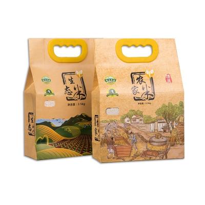 China Recyclable Plastic Handle Rice Pack Bag 2kg 5kg 10kg For Rice Pack Bag for sale