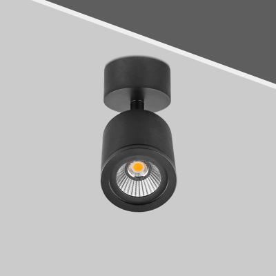 China Downlights New Arrival 360d Cob Chip 7w Adjustable Marked High Ra>90 Surface Mounted Downlights For Shop Lighting for sale