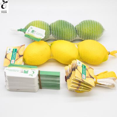 China 100% Non Plastic Compostable Mesh Fruit Netting Bag PLA for Grocery Mesh Sleeve Tube Netting Lemon Citrus Avocado Garlic Onion Packing Net for sale