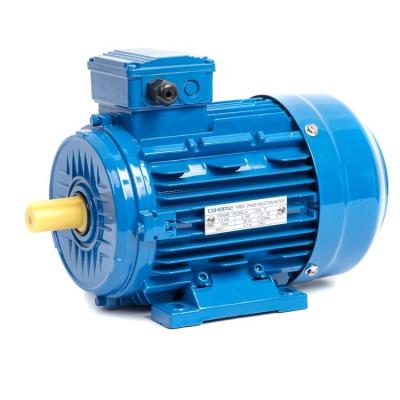 China AIR ANP COHOME IM1081 IM2081 GOST standard asynchronous motor Russian waterproof three-phase cast iron body y2 for ventilation equipment for sale