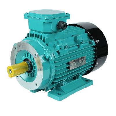 China IP55 COHOME Ms Series 0.5HP 1HP 1.5HP 2HP 3HP 4HP 5HP 7.5HP 10HP Three Phase AC Induction Electric Motor for sale