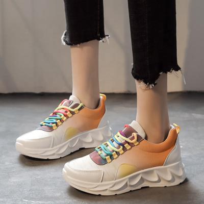 China Fashion Trend Fashion Trend Gradient Color Women Causal Shoes Lace Up Low Cut Sneakers Sports Shoes for sale