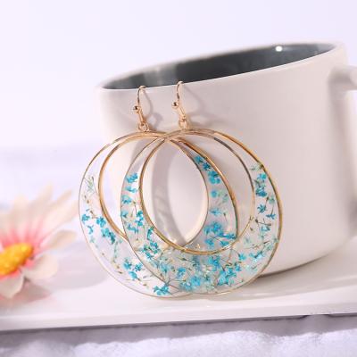 China 2023 Women's Gold Plated Acrylic Resin Real Botanical Flowers Big Circle Earrings Fashion Jewelry Statement Hoop Earrings For Women for sale