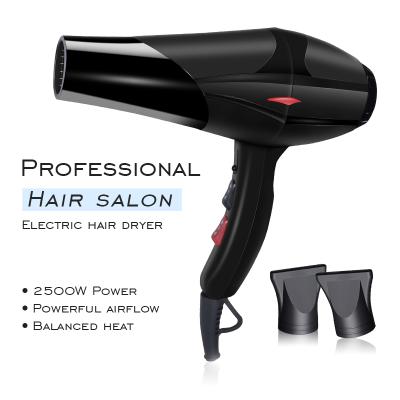 China Universal Hot Cold Ion Hair Dryer Salon Family and Hotel Hang Up Hook Multi Functional Powerful Hair Dryer for sale