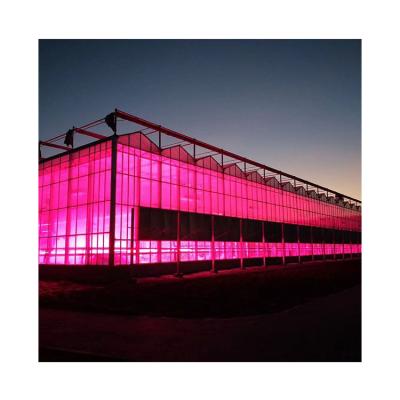 China Hot Dip Galvanized Steel China Supplier Venlo Inflatable Garden Greenhouse For Sale for sale