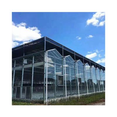 China Hot Dip Galvanized Steel Online Wholesale Automatic Venlo Greenhouse For Snail Farming for sale