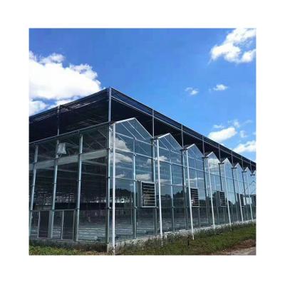 China For Planting Chinese Factory Price Lighting Venlo Passive Greenhouse for sale