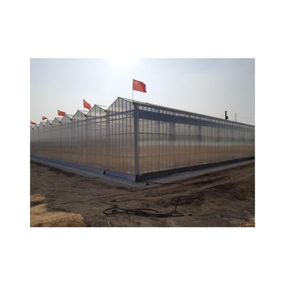 China Hot Dip Galvanized Steel Hot Sale Industrial Exhaust Fan Venlo Polytunnel Greenhouse for sale