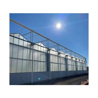 China Hot Dip Galvanized Steel Factory Wholesale Price Mini Indoor Shading System Venlo Greenhouse for sale