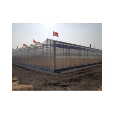 China Hot Dip Galvanized Competitive Price Steel Hydroponics Growing Lean Venlo Greenhouse for sale