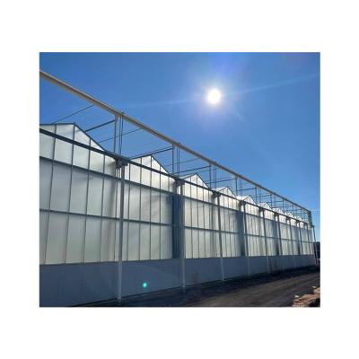 China Hot Dip Galvanized Good Quality Venlo Green Nursery House Steel Agriculture Greenhouse for sale