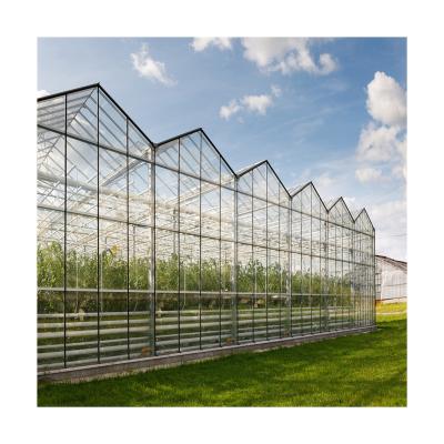 China For Planting Plant Processing Chinese Manufacturer Green House Agriculture Photovoltaic Glass Greenhouse for sale