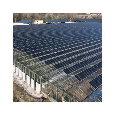 China Hot Dip Galvanized Competitive Price Photovoltaic Steel Tomato Garden Greenhouse For Sale for sale