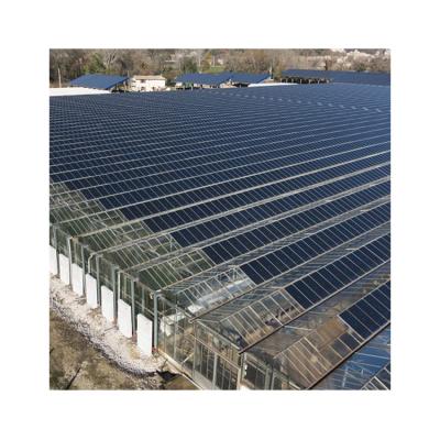 China Installation Instruction Manufacturer Supply Plastic Photovoltaic Greenhouse For Sale for sale