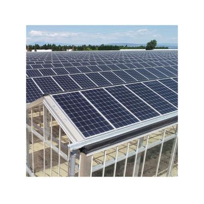 China To Plant Professional Manufacturer Low Cost Container Photovoltaic Greenhouse for sale