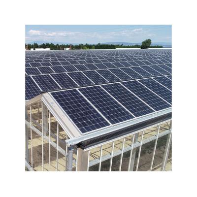 China Installation Instruction Competitive Price Morocco Agricultural Photovoltaic Greenhouse for sale