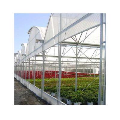 China Hot Dip Galvanized Steel Professional Manufacturer Portable Romantic Glass Multi-span Greenhouses for sale