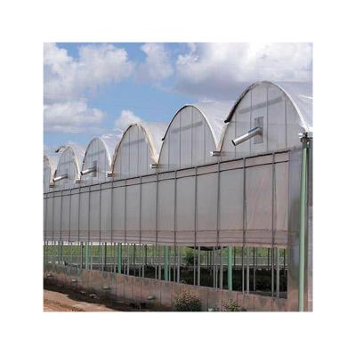 China Hot Dip Galvanized Steel Factory Price Winter Chinese Fiberglass Panels Multi-span Greenhouses for sale