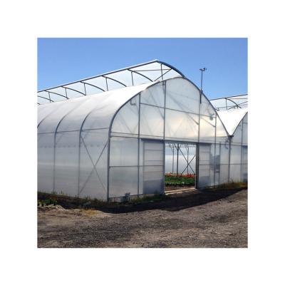 China Hot Dip Galvanized Factory Price Steel Shade House Multi-span Chinese Plastic Greenhouses for sale