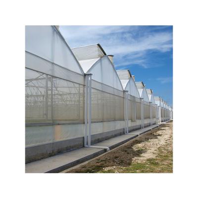 China To Plant Professional Multi-span Greenhouses Tomato Shade Cloth Maker Green Houses Hydroponics Farm Vertical Agriculture Agriculture for sale