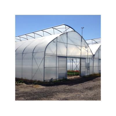 China For Planting Chinese Factory Price Light Deprivation Aeroponic Multi-span Greenhouses for sale