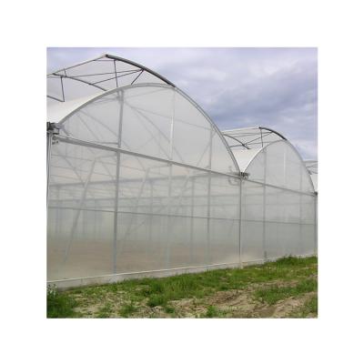 China Hot Dip Galvanized Steel Improve Price Advantage Tent Factory House Multi-span Greenhouses for sale