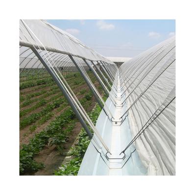 China For Planting Competitive Price Irrigation System Walk Blueberry Mushroom Multi-span Greenhouse for sale