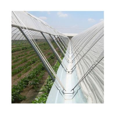 China Hot Dip Galvanized Reasonable Price Steel Garden Tunnel Poland Blueberry Greenhouse for sale