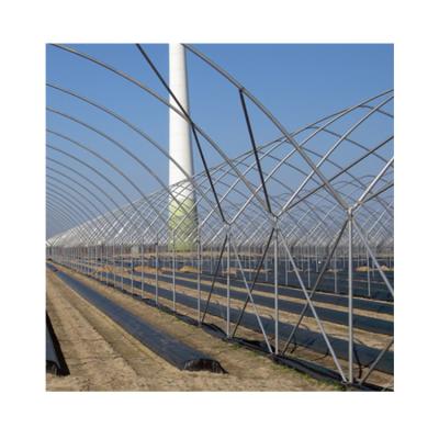 China Hot Dip Galvanized Steel High Performance China 30 x 100 Hot Dip Galvanized Blueberry Steel Greenhouse for sale