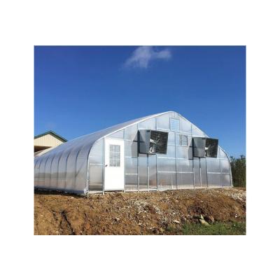 China Installation Instruction Competitive Price Agricultural Irrigaties System Single Span Greenhouse for sale