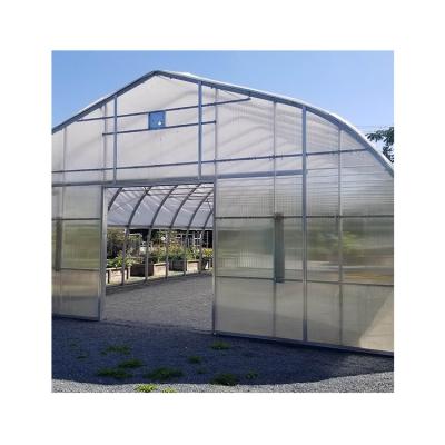 China Hot Dip Galvanized Outstanding Quality Steel Single Span Aluminum Tunnel Greenhouse for sale