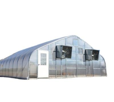 China Hot Dip Galvanized Steel Wholesale Cheap Single Span Humidifier Plastic Greenhouse for sale