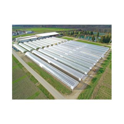 China Hot Dip Galvanized Steel Factory Wholesale Price Small High Tunnel Single Span Greenhouse for sale