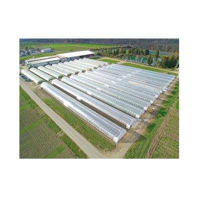 China Hot Dip Galvanized Steel Manufacturer Supply Single Span Small Solar Greenhouse For Home Use for sale