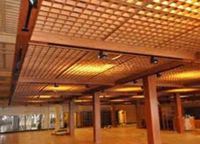 China Outdoor Aluminum Ceiling Grid 150*150mm Traffic White RAL Color for sale