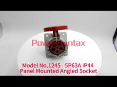 Model No.1245 - 5P63A IP44 Panel Mounted Angled Socket