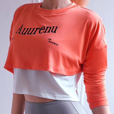 China New Breathable Autumn Yoga Sport Use Fitness Yoga Wear Women Custom Shirt Printing Long Sleeve T-shirt for sale