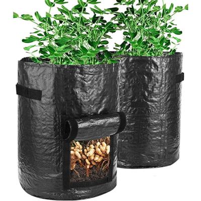 China High Quality PE Growing Pot 10 Gallon Garden Plant Grow Bags Plant Grow Bag With Handles for sale