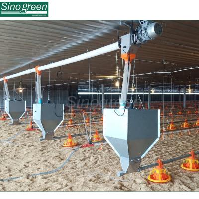 China Sinogreen 2020 New Full Automatic Feeder System Chicken Feeders Poultry Farming for sale