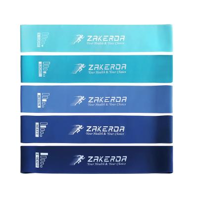 China Physiotherapy Zakerda Gym Fitness Stretch Bands Amazon Power Loop Resistance Band Arm Workout for sale