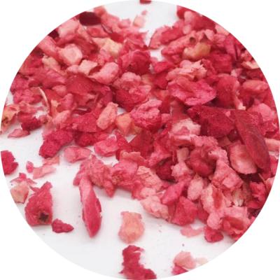 China Dry Wholesale Freeze Dried Cranberry Cut Out Food Ingredients FD Freeze Dried Fruit Pellets for sale