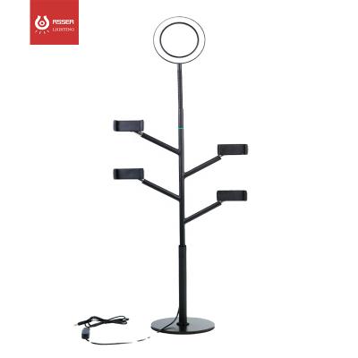 China Modern 10 Inch Photography Light LED Selfie Ring Light Stand Phone Holder for sale